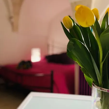 Casa Tulipano Apartmán Ceglie Messapica